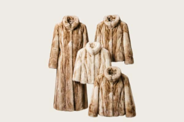 绩溪县回收皮草衣服